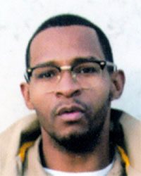 Jerail Netcliff FP